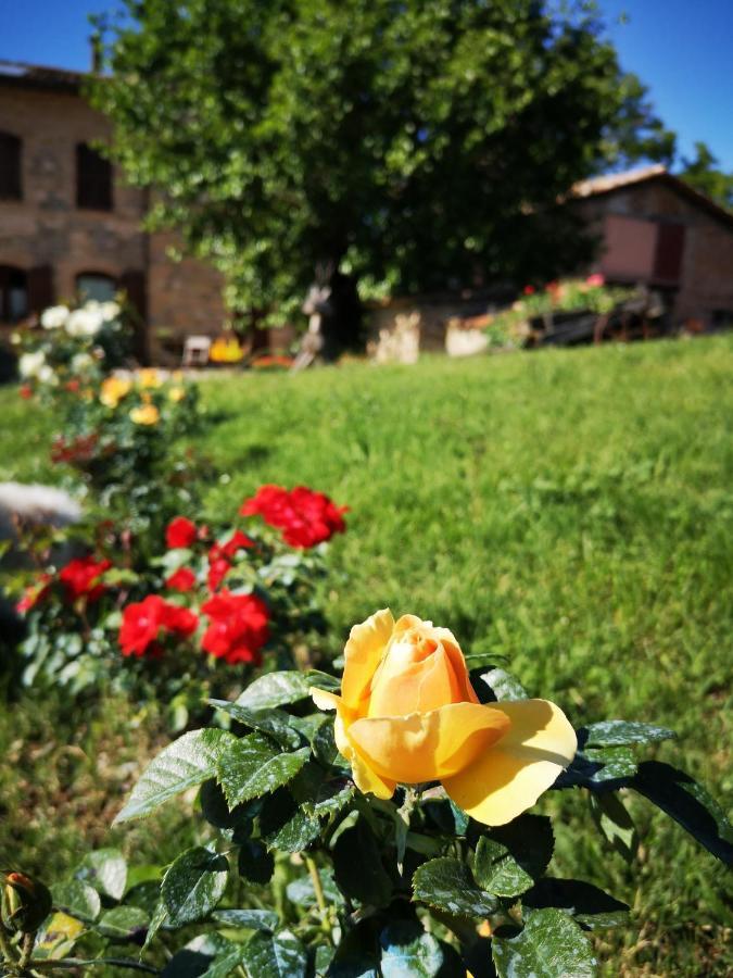 Da Foschetta Villa Matelica Eksteriør bilde